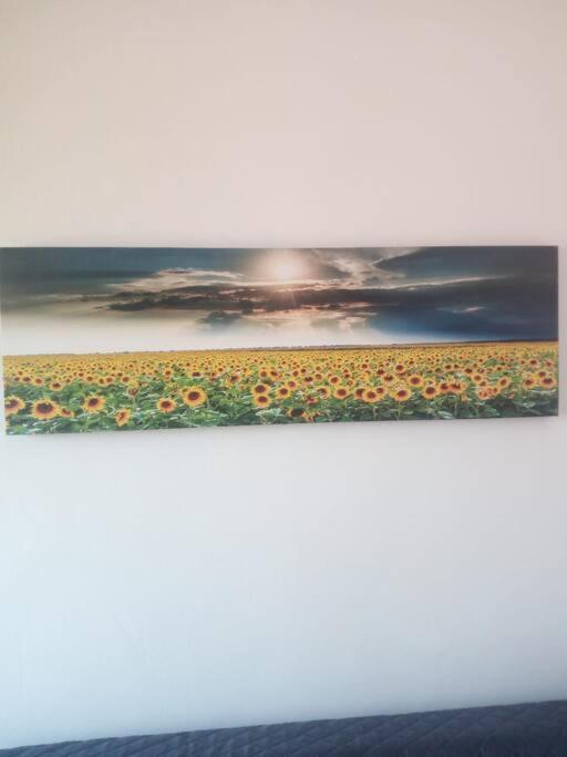 Il Girasole Apartment Каляри Екстериор снимка